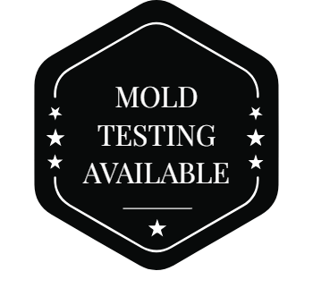 mold testing available